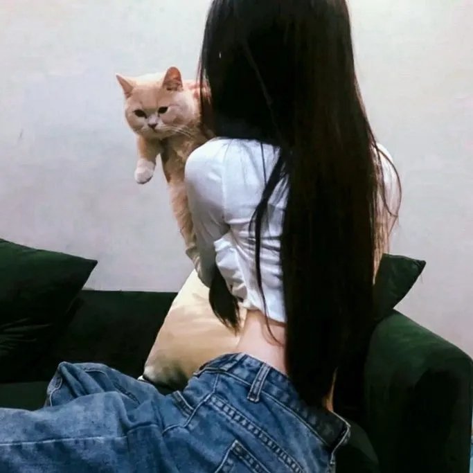 杀人蜂